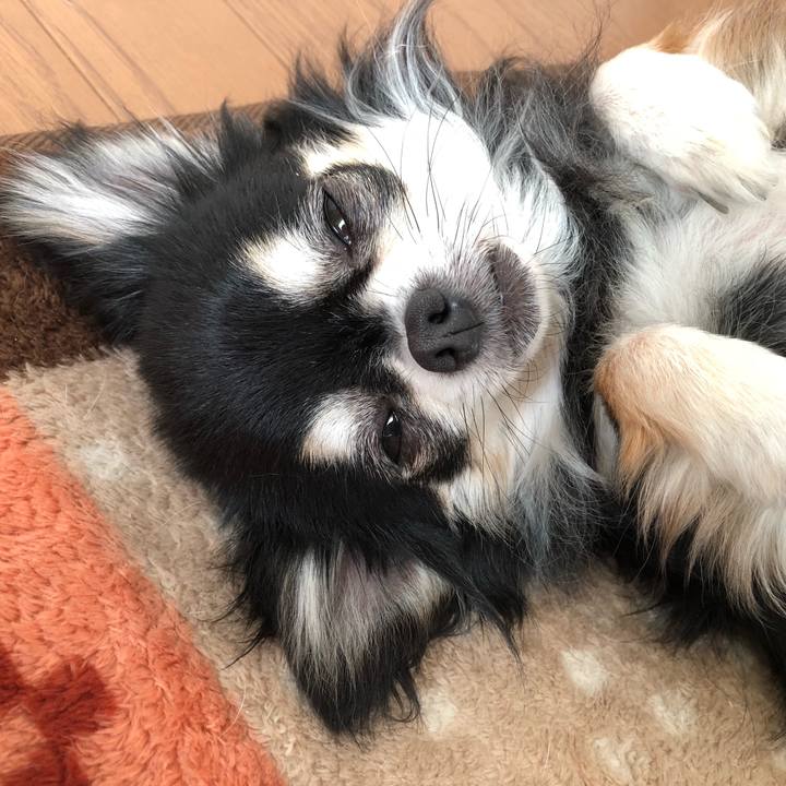 3b511f76 4a12 4b6d b18d 958bf6e668e6 1523070614201