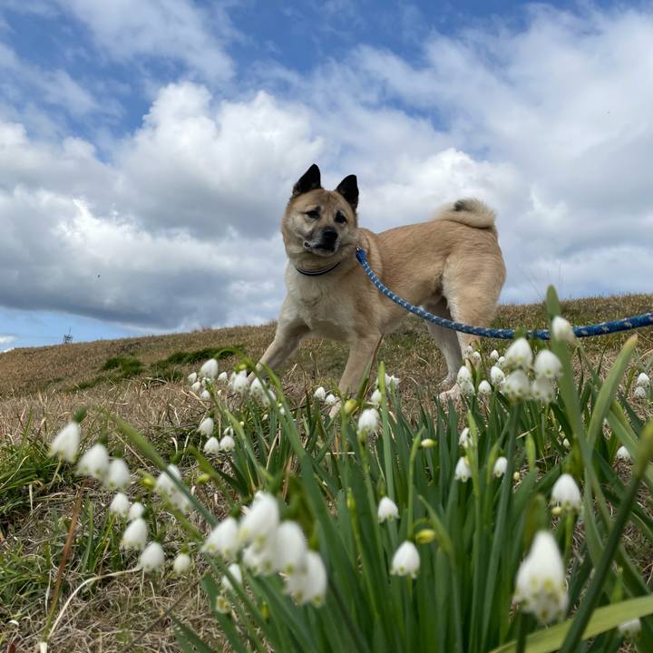 3b517cee d367 40a4 b937 55025c06a557 1647852341527