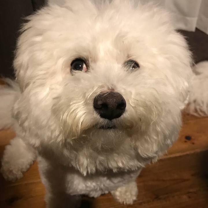 3b51b2f3 cd2b 42b5 8dfa fca08a921a3f 1528367312607