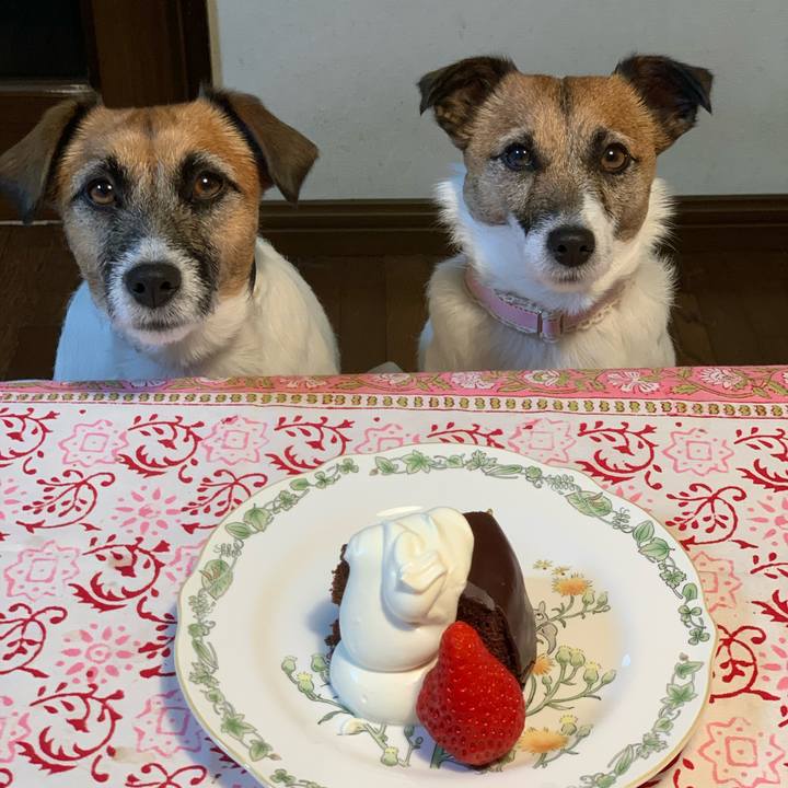 3b51c374 1d18 4a2e 971b 9ac3eee10690 1579351938863