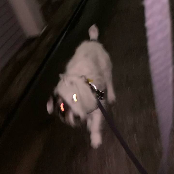 3b51dd67 f297 48c0 a12a a0a4d7f70b91 1750773313602