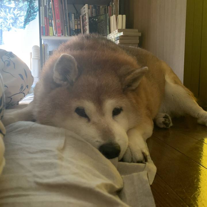 3b51e91a 8254 477e 9fe9 4195d5b42d41 1605925298720