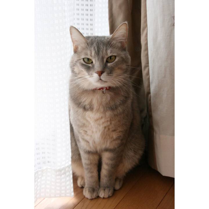 3b51fd49 db84 47f3 8be0 868938b17016 1544227081071