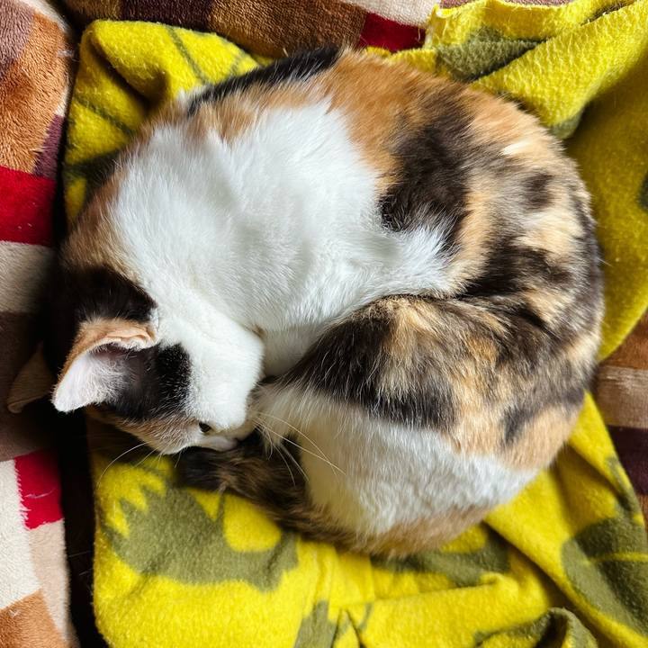 3b520754 3d07 45fd 9052 777a5e472910 1684285276770