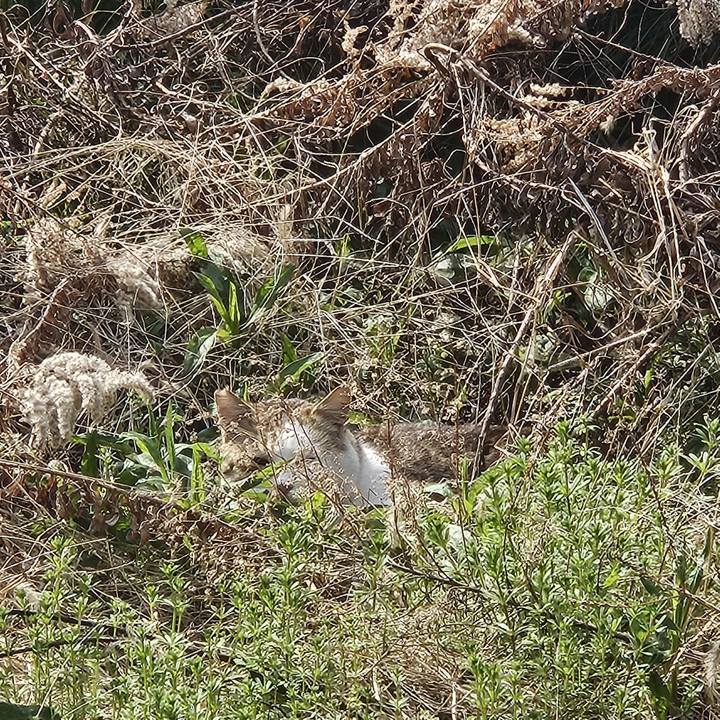 3b525ca6 b56c 4d49 9a85 ee17772669a2 1743053213406