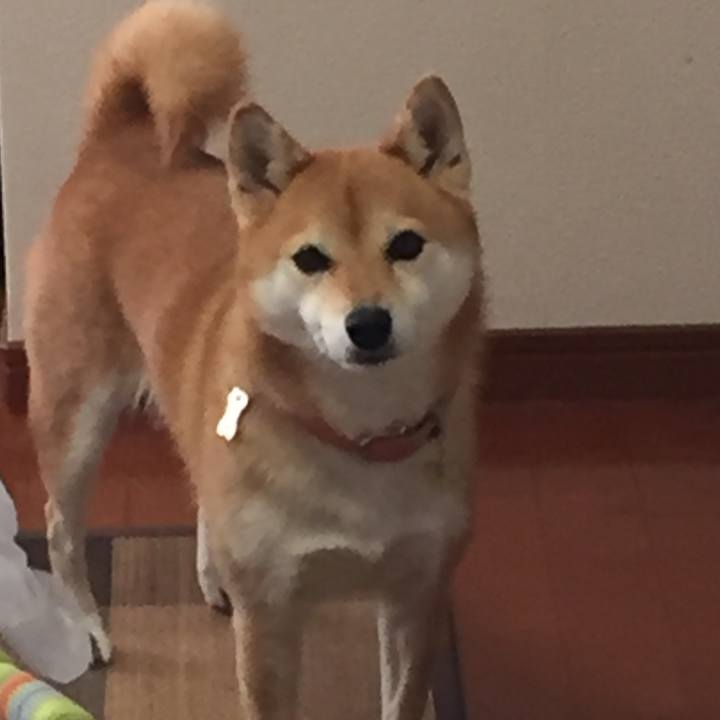 3b52b279 3778 4c63 9714 2b4f6997d7b2 1510370583039