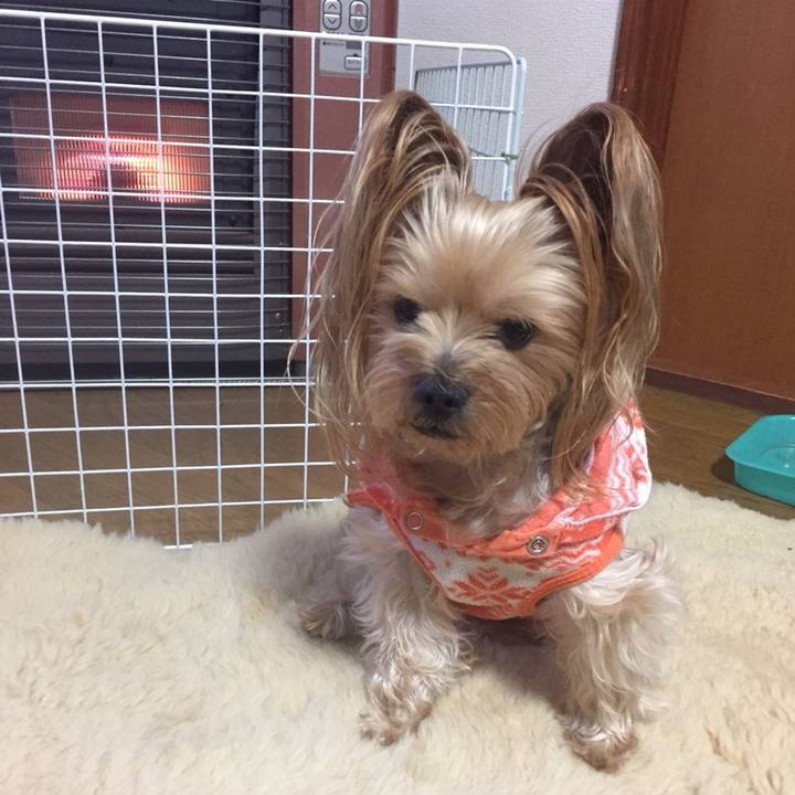 3b52b740 d723 4091 b227 b49f965e7488 1546682371311