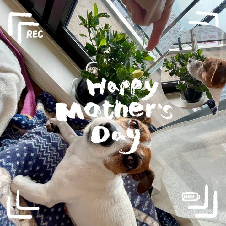 3b52be80 ad75 473d 8915 6e0bc807673c 1747175875853