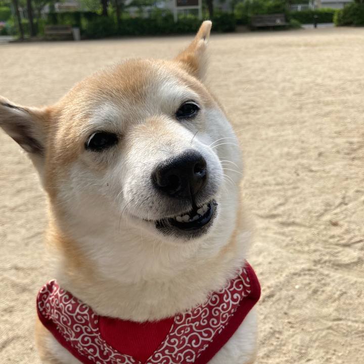 3b52c0f8 5396 4334 8a8d 0863e1960993 1622760014848