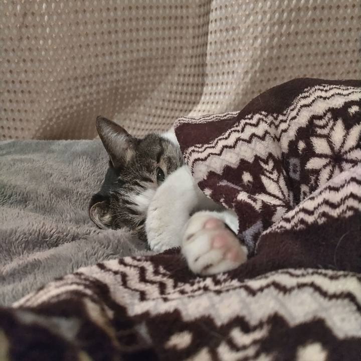 3b52c105 d5db 4274 a85c dcf03dad57c4 1766444705429