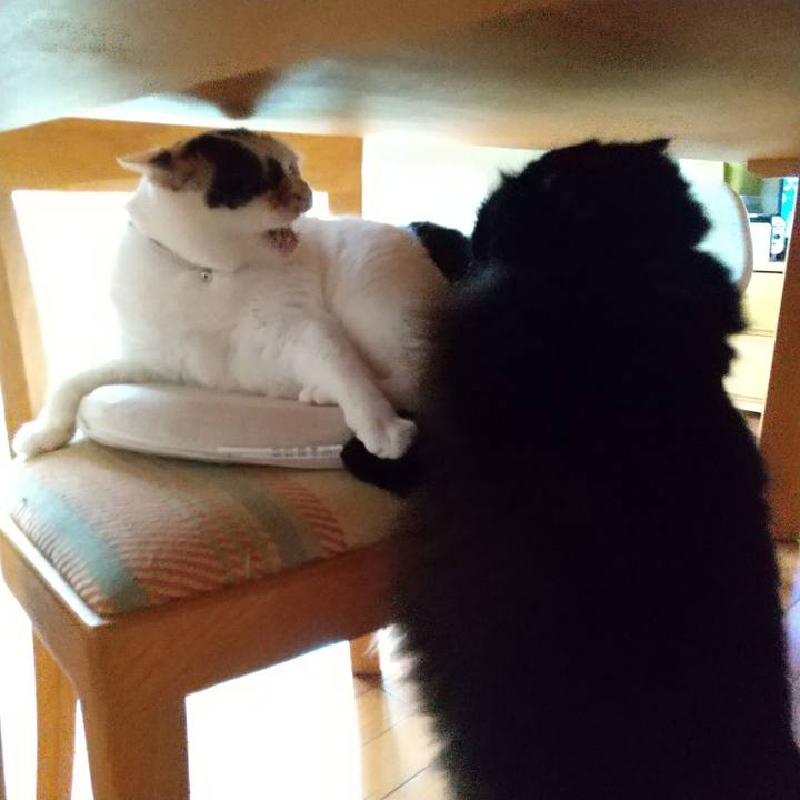 3b52c12e e900 494b a4e5 35e9ffd0bb39 1661814818768