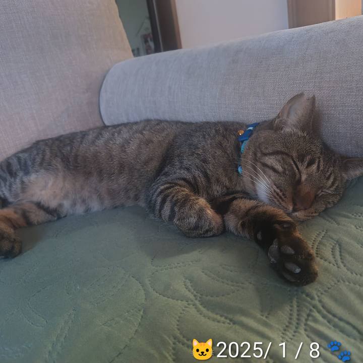 3b52c8c9 d3ed 4596 8c4b da39f4258df3 1769335652987