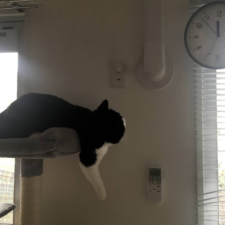 3b52ddc9 8224 4cb1 90e0 94f32bea5d7d 1556604009781