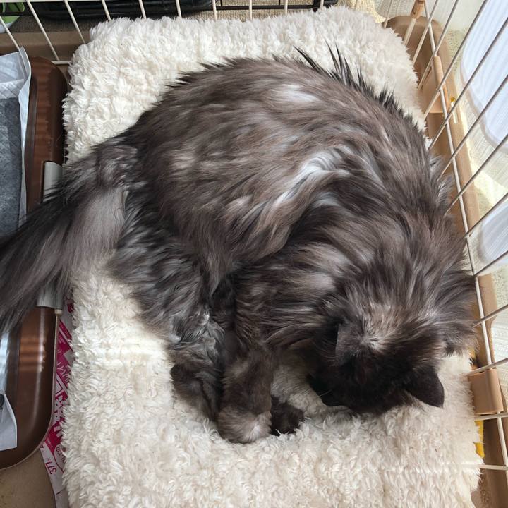 3b531d35 75aa 493c 93f6 46926276b006 1521343525255