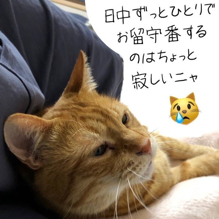 3b532c74 1d6f 40ea a253 05b7a32005f5 1648068543758