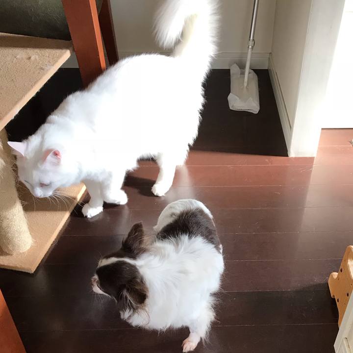 3b5366b0 ff47 4d54 8a62 655cc1b8082c 1543376274632