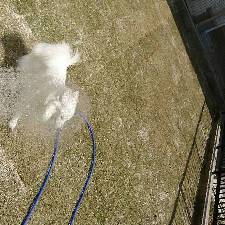 3b539532 ebe6 4498 832a c2e3289f3f59 1522330503281