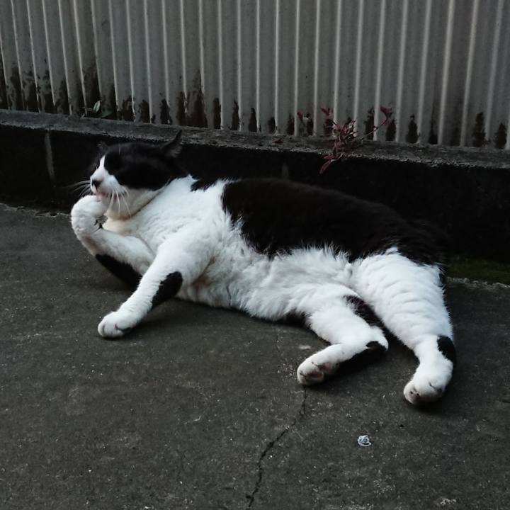 3b53ded6 d2d3 4fac 9c98 9fe6e267cbf7 1630055662667