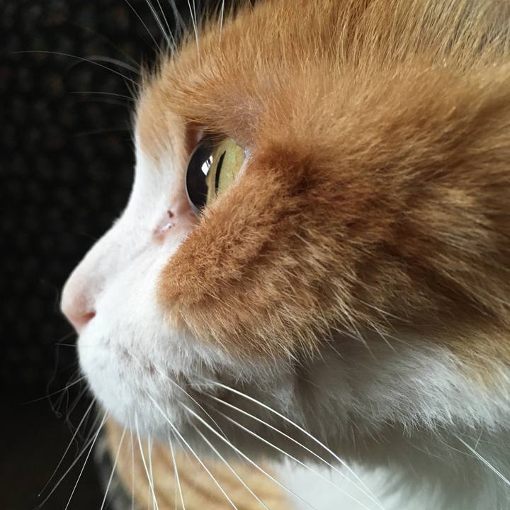 3b53fb38 70e5 48af 83f5 7698d5592567 1576892574597