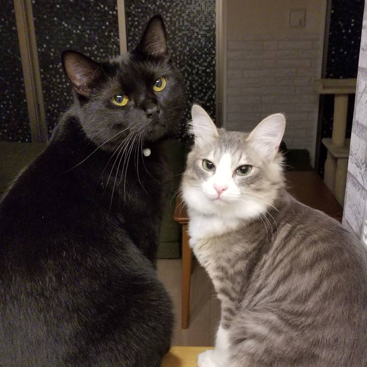 3b540ba6 0fc5 4dbe 9dd1 26f24064d65b 1517173103113