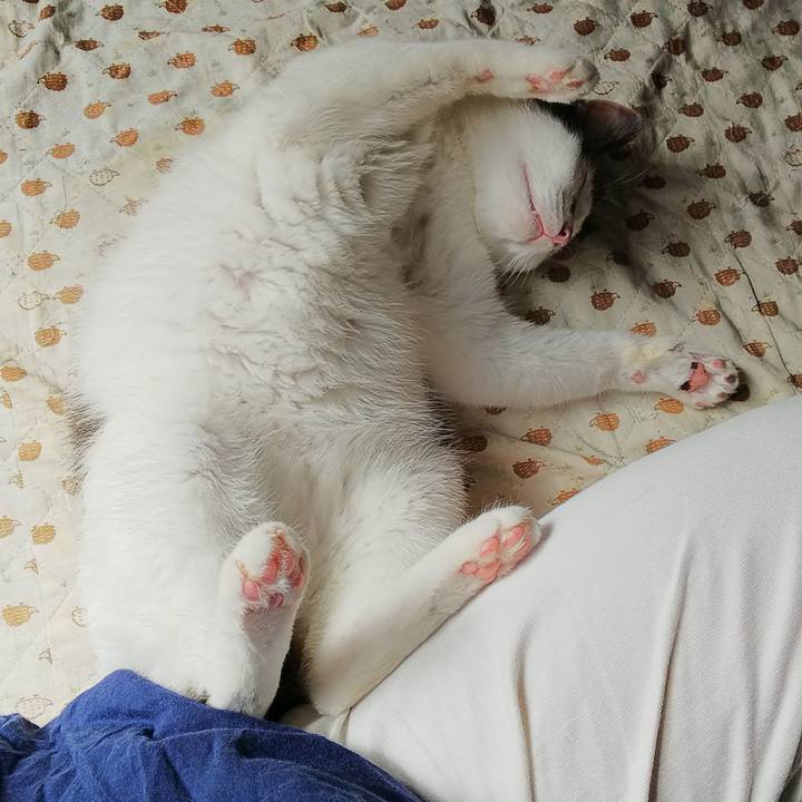 3b5448e6 b7a4 4cb9 9d7d 6126fe7dc292 1535866889412