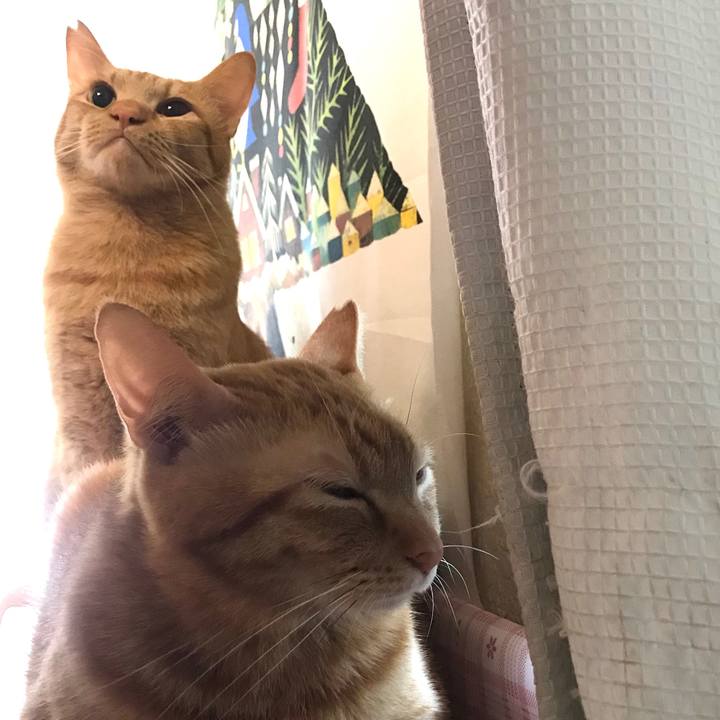 3b5465d1 a50a 4f67 9662 f00312e04f97 1590536591768