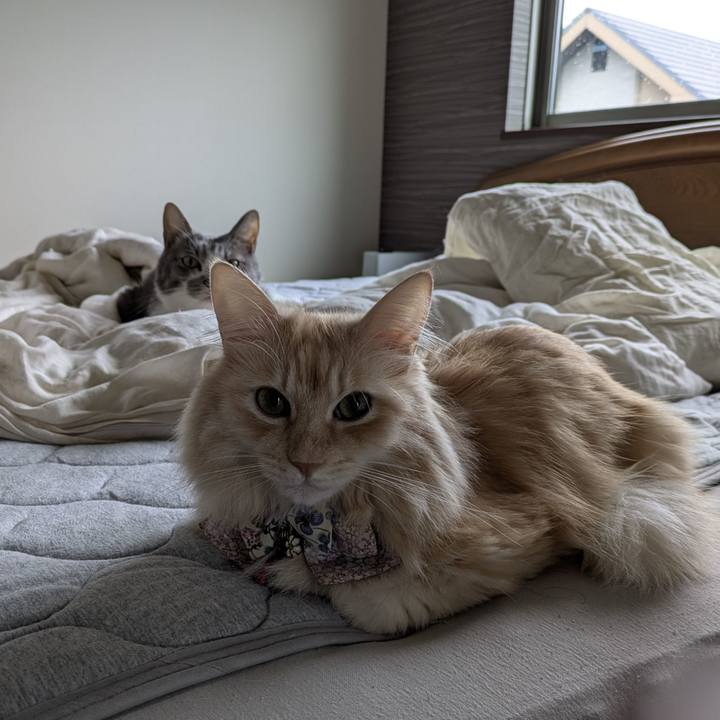 3b54787a 07c3 45a6 bb1e 8aa0e1adf3b9 1760491931912