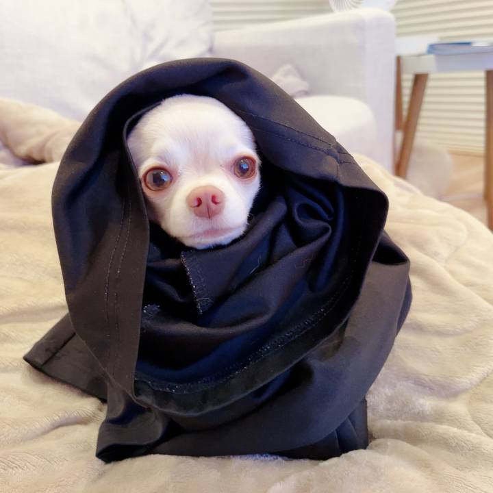 3b54a10c a680 46c9 b81c 37654f9e2409 1695732849291