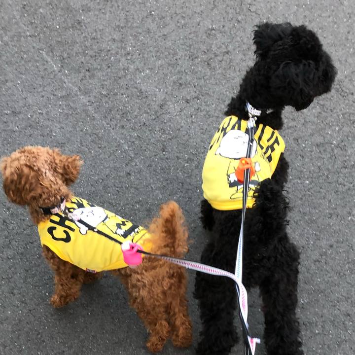 3b54de51 70a1 4539 9583 37a26ebdc7d3 1527923240254