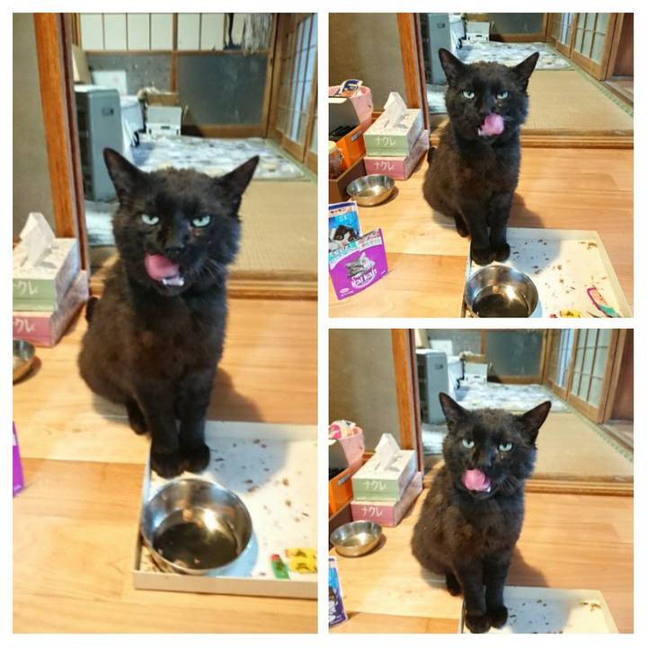 3b54dfe0 b297 4f03 b948 82574e06a176 1623320059973