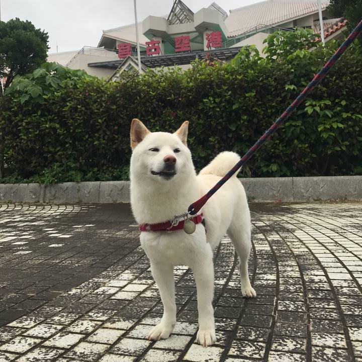 3b556d7e a861 4228 874d 161558898c09 1525345353506