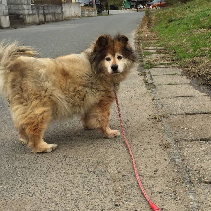 3b557f2e 9046 41e5 aaab 1d610cee044e 1561669465291