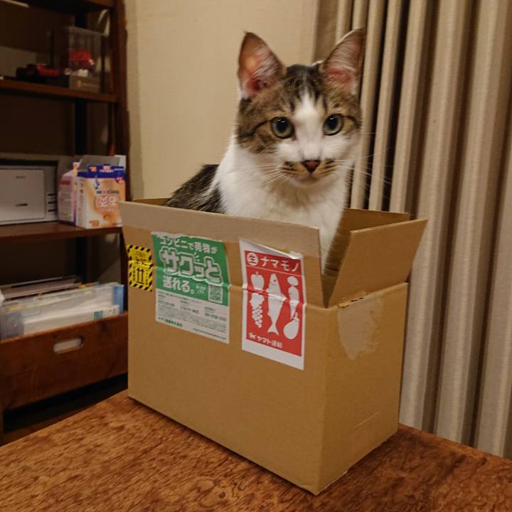 3b55f1b2 682b 4ea1 b3e4 a15dc2ea2976 1724727875541