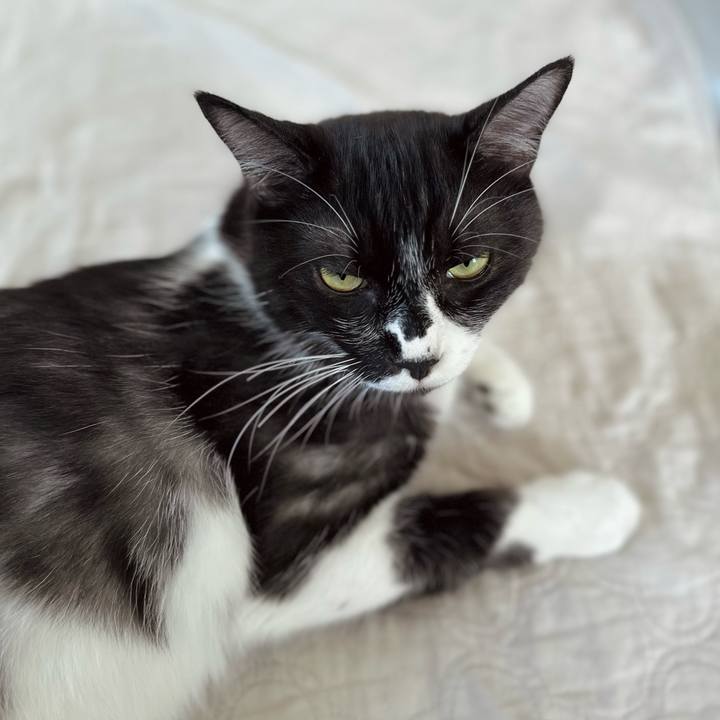 3b5600e2 9378 47d1 a686 142c3b353d82 1758239529464