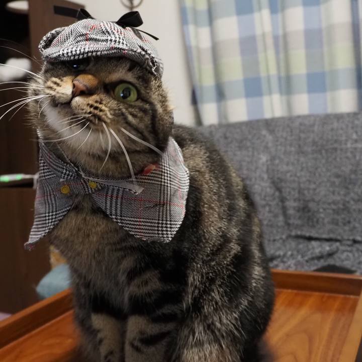 3b562bdb fe10 42ac 9dcf ea7af1228ead 1606131111655