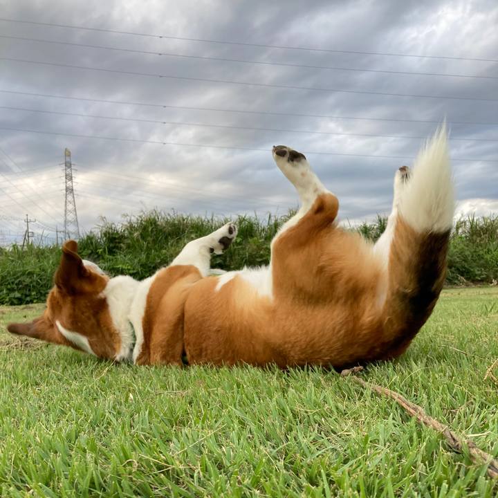 3b562dd9 8f7a 4a5d 892b 8f933ade1b5c 1696289072674