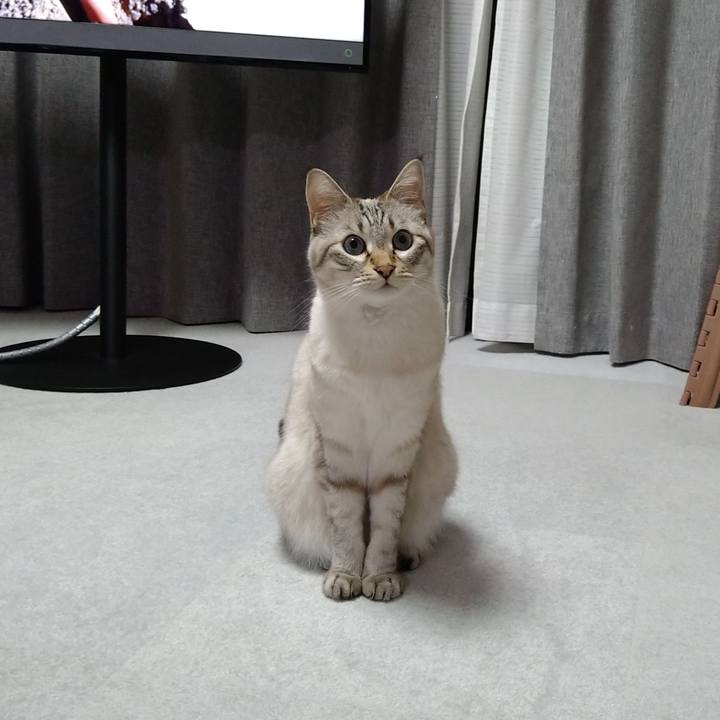 3b56832a bfd6 4d2f b30a de2e60b307e3 1630928073930