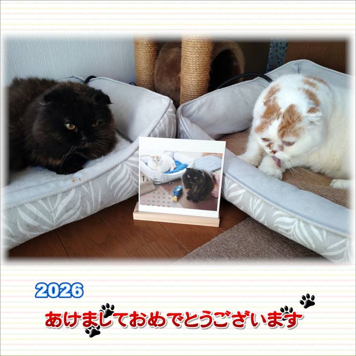 3b5691e0 f6d8 41c3 b340 94ed05b7b7ea 1767239358133