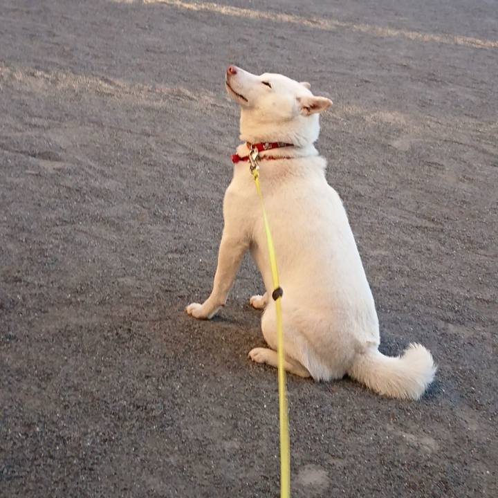 3b573819 269e 46e8 af9d 941d4701e898 1512889194316