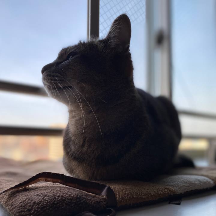 3b5761a0 ea70 4b8b 8132 7f6093eaba4a 1591497893585