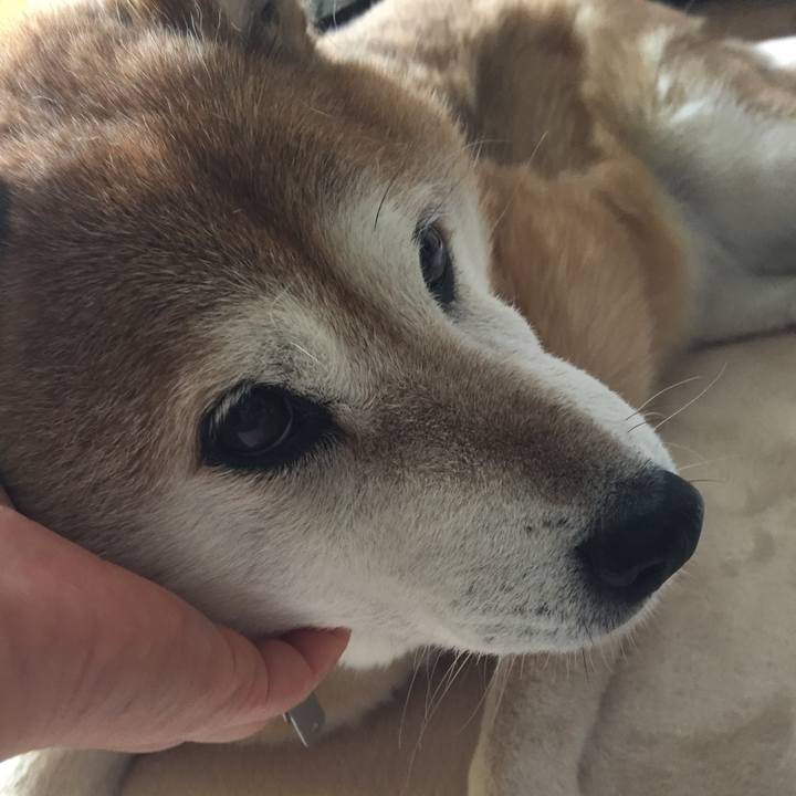 3b57b765 d0b3 4ec7 b996 e33e28153688 1532232265676