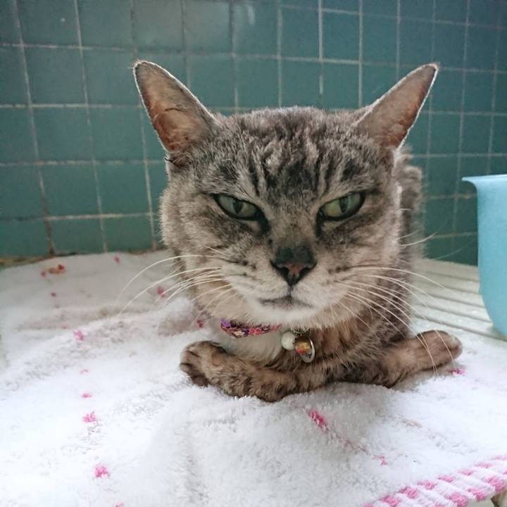 3b57c2fe a70c 44fd ae28 73137c5f58db 1627907982769