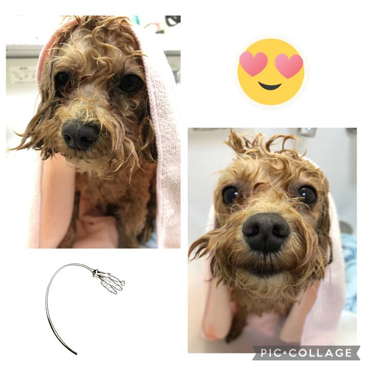 3b57d9af e64a 4517 ad50 3c4bb01b26fc 1682262697112