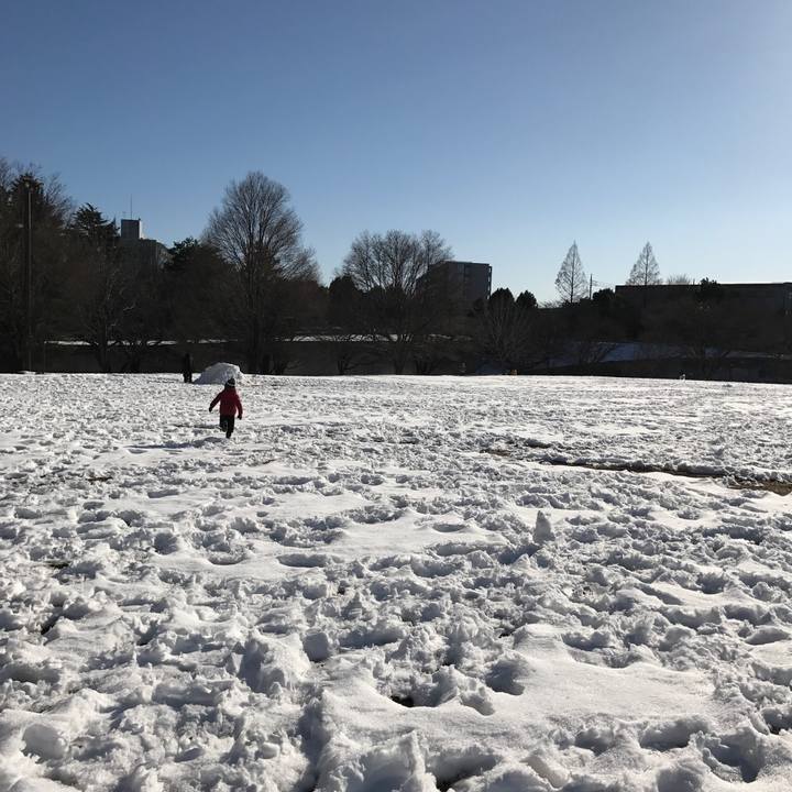 3b57e68e 4ddf 48e5 9634 cb1ed54c389a 1517038128002