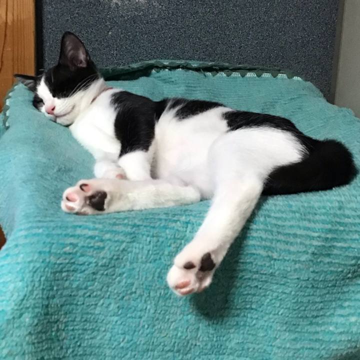 3b57ff63 04f4 4192 a0d9 68a9e2bcb3b0 1627472711338