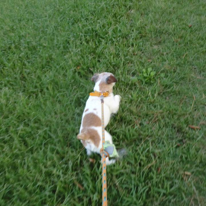 3b5802e1 cc3b 4f40 8fce ca4e434eda63 1572446984245