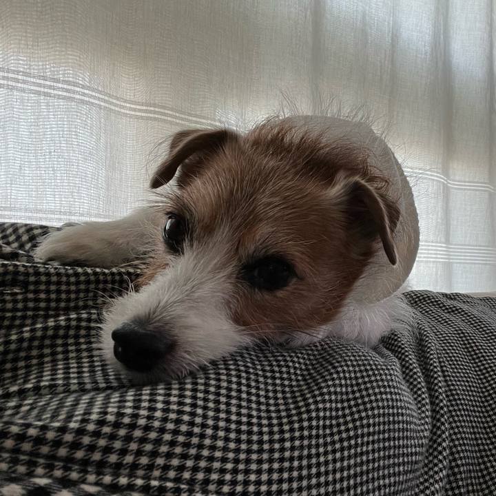 3b580765 9023 4a25 84c5 48df5d559e82 1701471510940