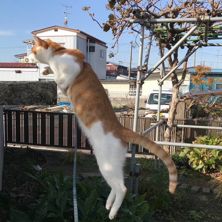 3b580e80 cac6 42ad 928a 84a7daf12261 1510012785909