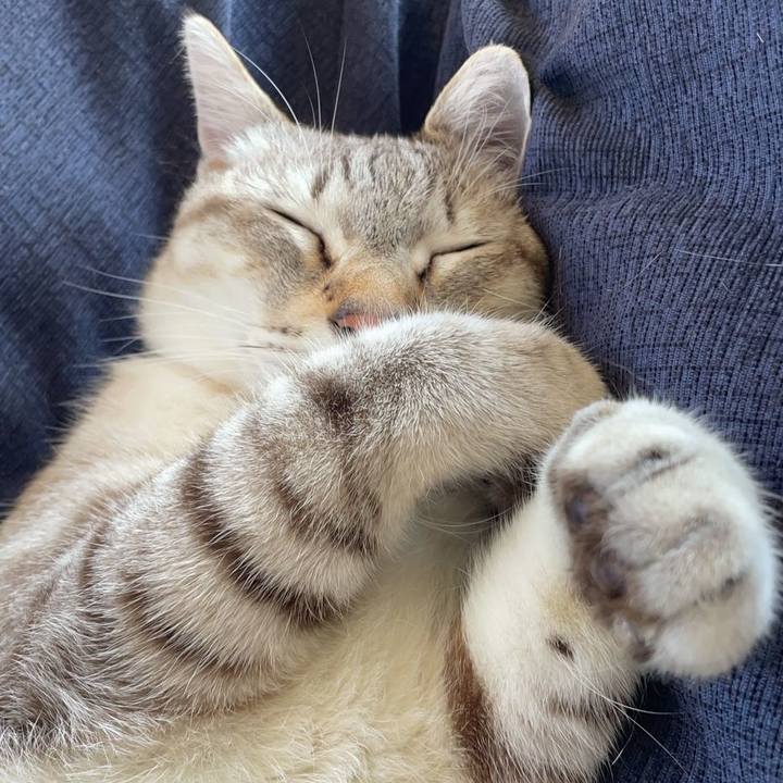 3b5821f2 2d6b 4eb6 88cd 8d56c5f8b5ab 1758956773392