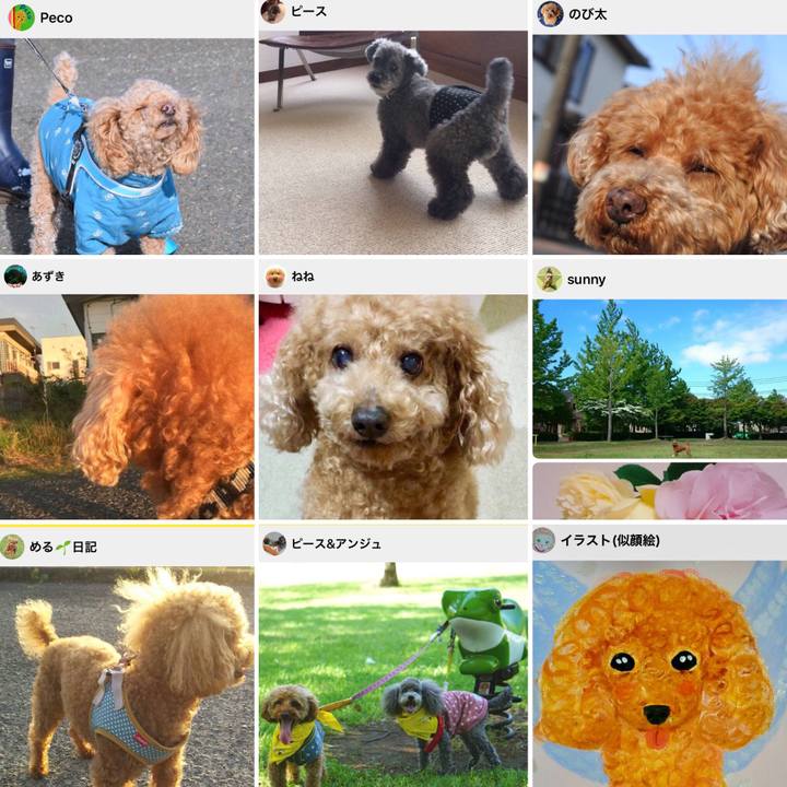 3b58322d 4b73 433f b91a 200f80d35891 1535885986990